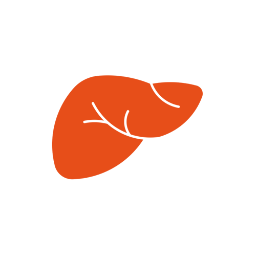 Liver Care
