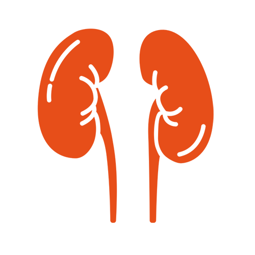 Renal Care